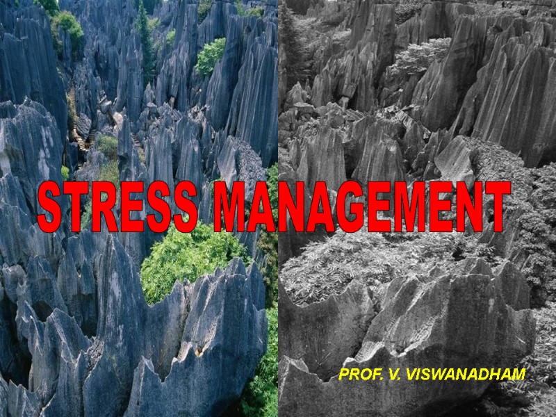 STRESS MANAGEMENT PROF. V. VISWANADHAM